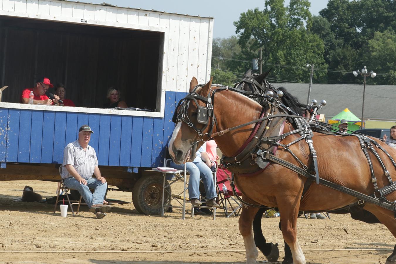 Become A Coorporate Sponsor At The Muskingum County Fairgrounds