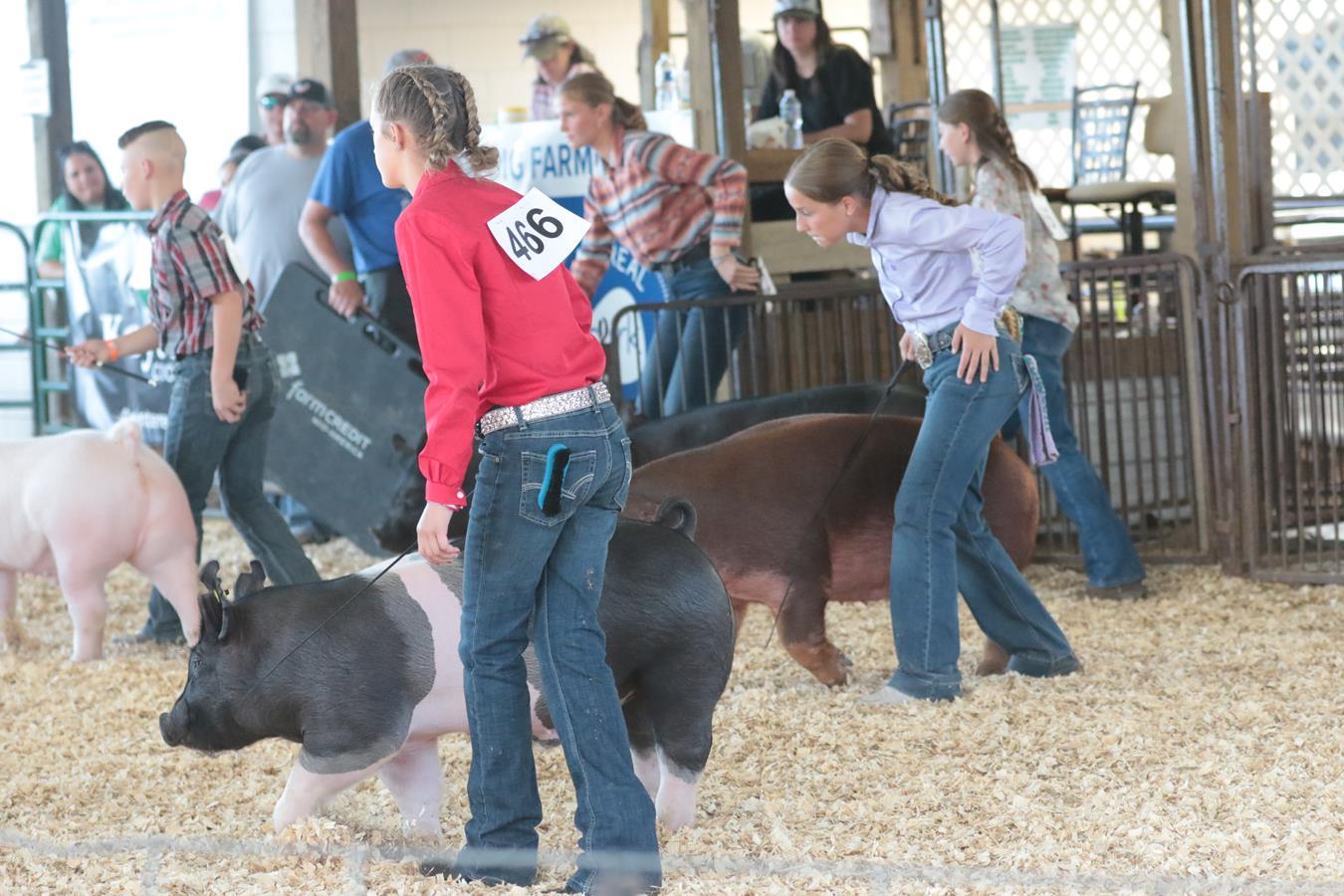Become A Community Sponsor At The Muskingum County Fairgrounds