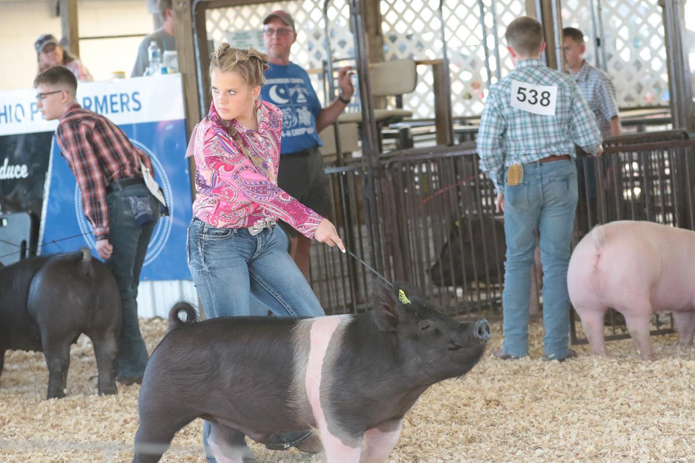 2024 178th Muskingum County Fair 243