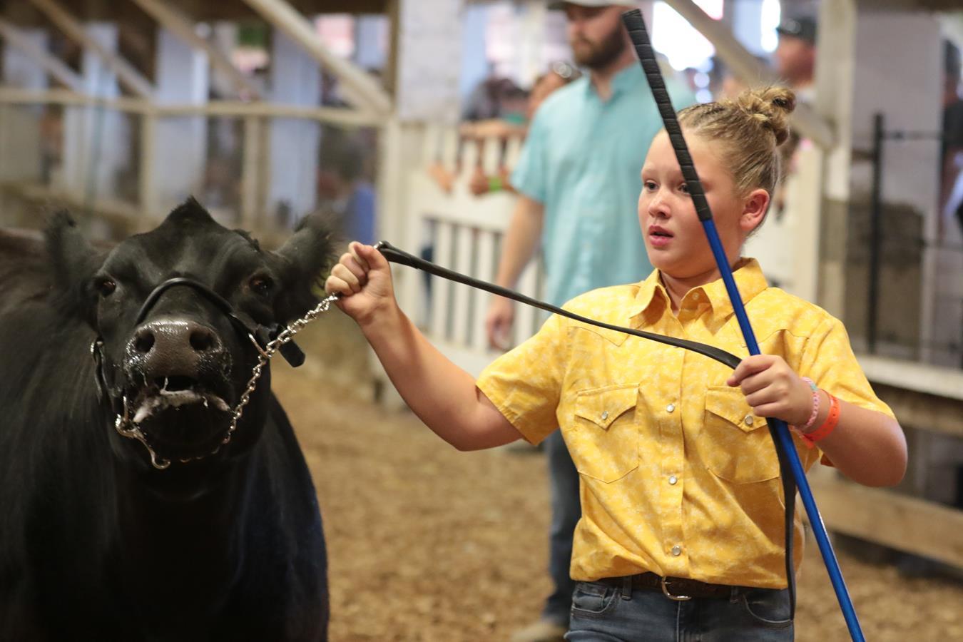2024 178th Muskingum County Fair 355