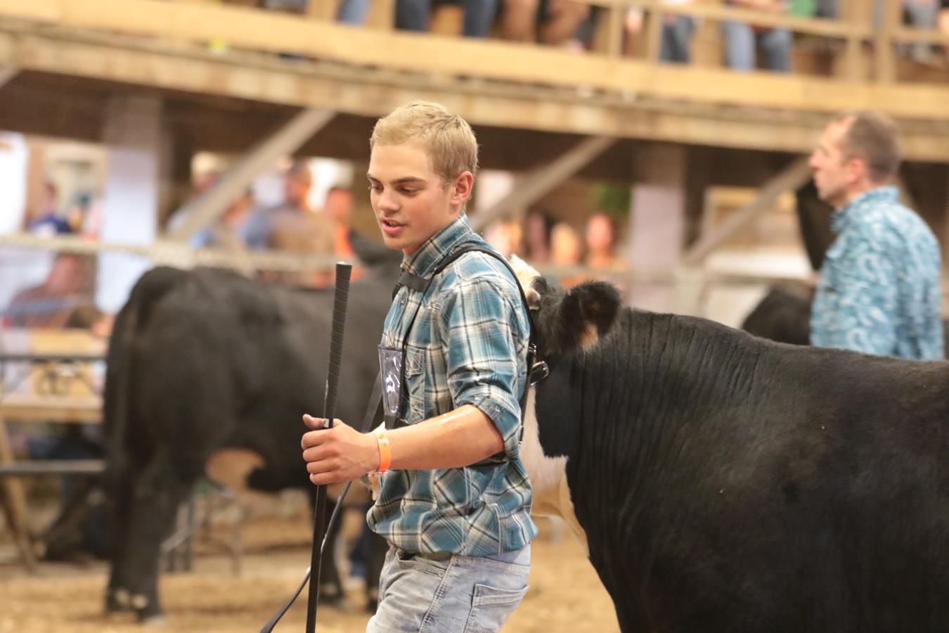 Plan Your Visit To The Muskingum County Fairgrounds