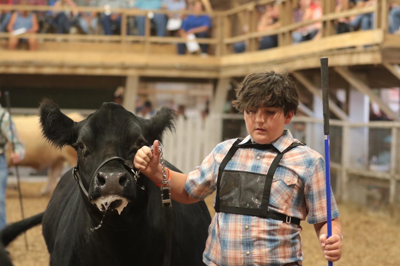 Become A Community Sponsor At The Muskingum County Fairgrounds