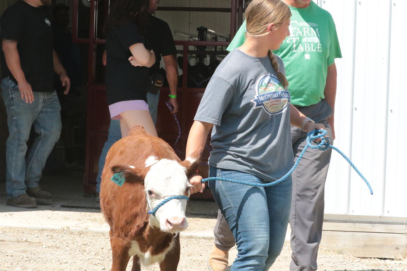 2024 178th Muskingum County Fair 512