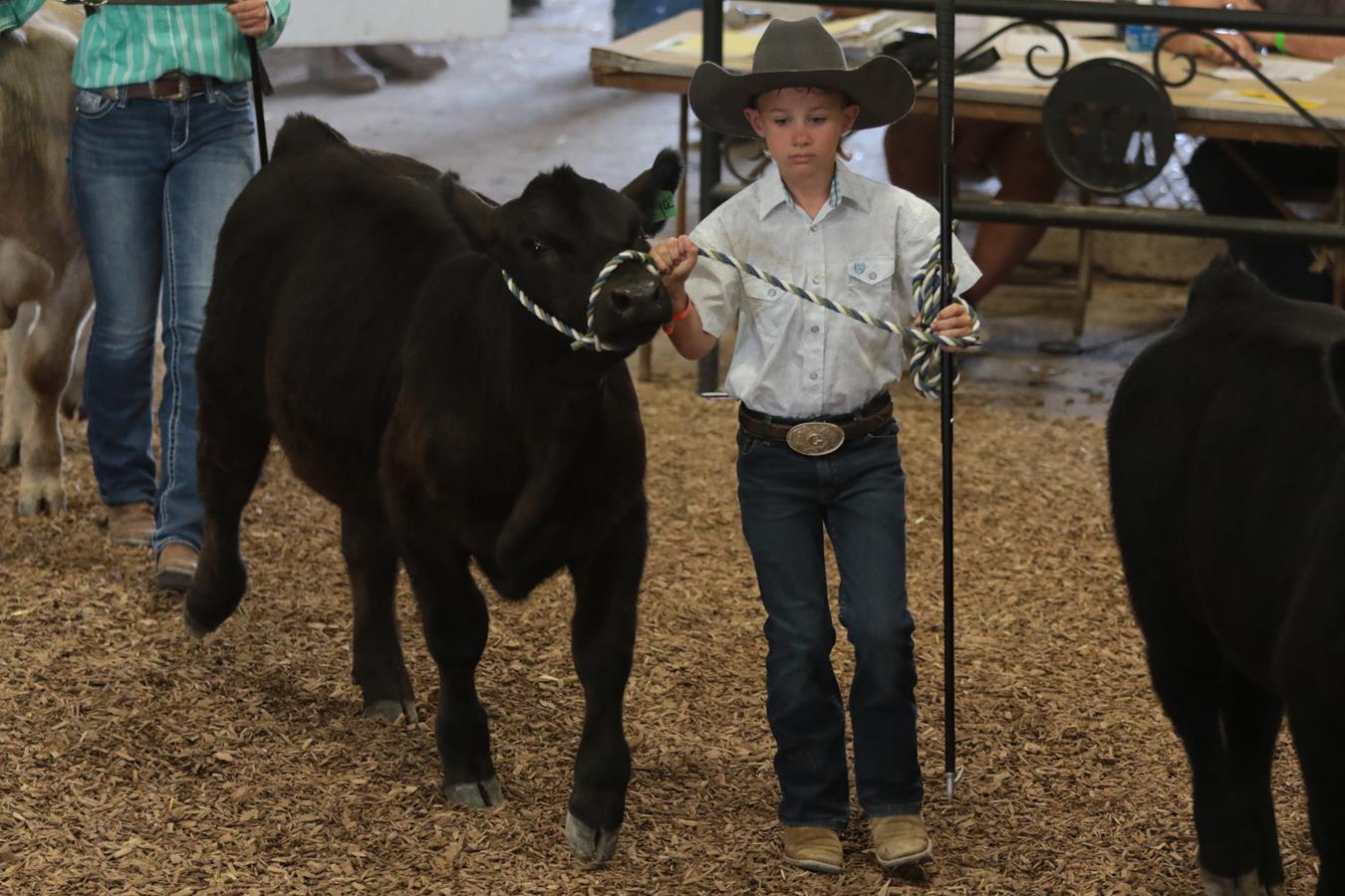 2024 178th Muskingum County Fair 608