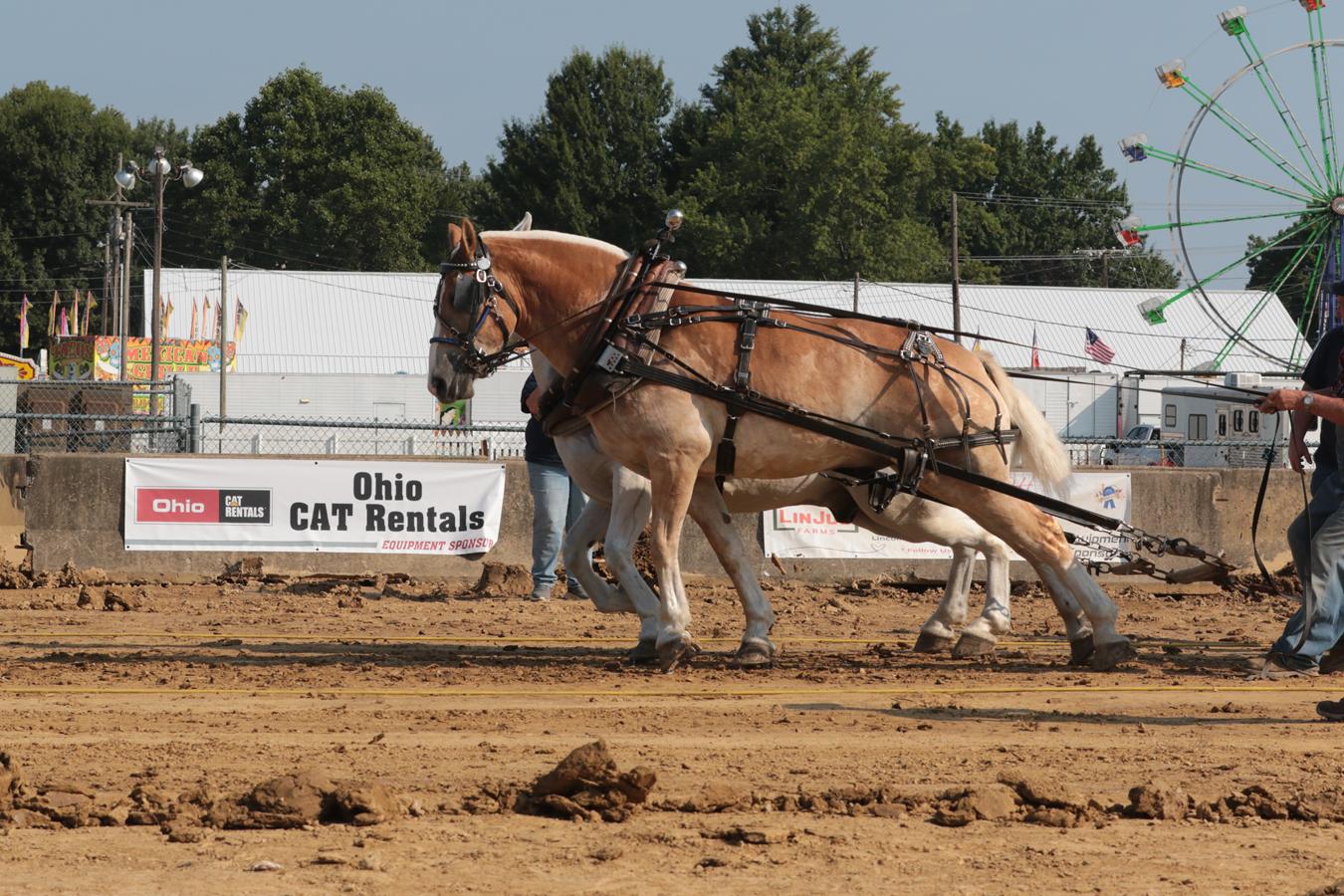 2026 180th Muskingum County Fair 1177