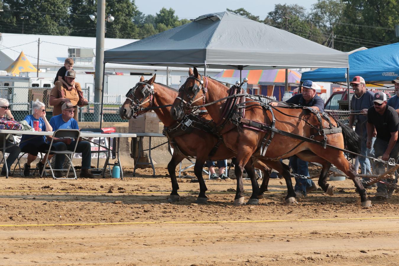 2026 180th Muskingum County Fair 1186