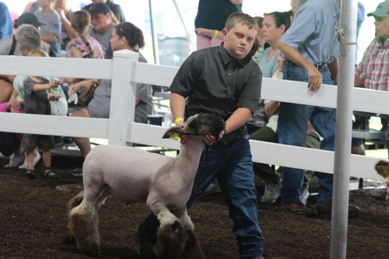 2026 180th Muskingum County Fair 175