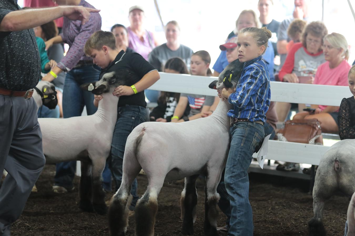 2026 180th Muskingum County Fair 180