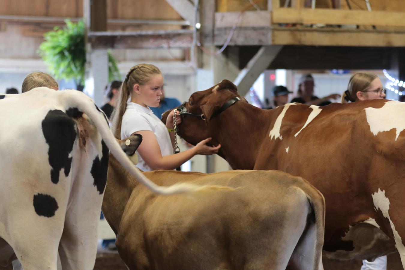 2026 180th Muskingum County Fair 234
