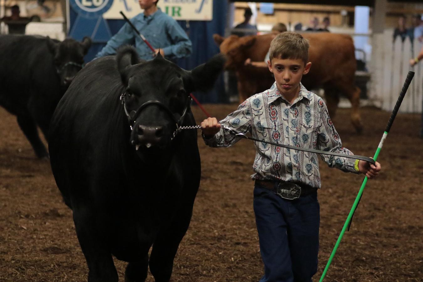 2026 180th Muskingum County Fair 416