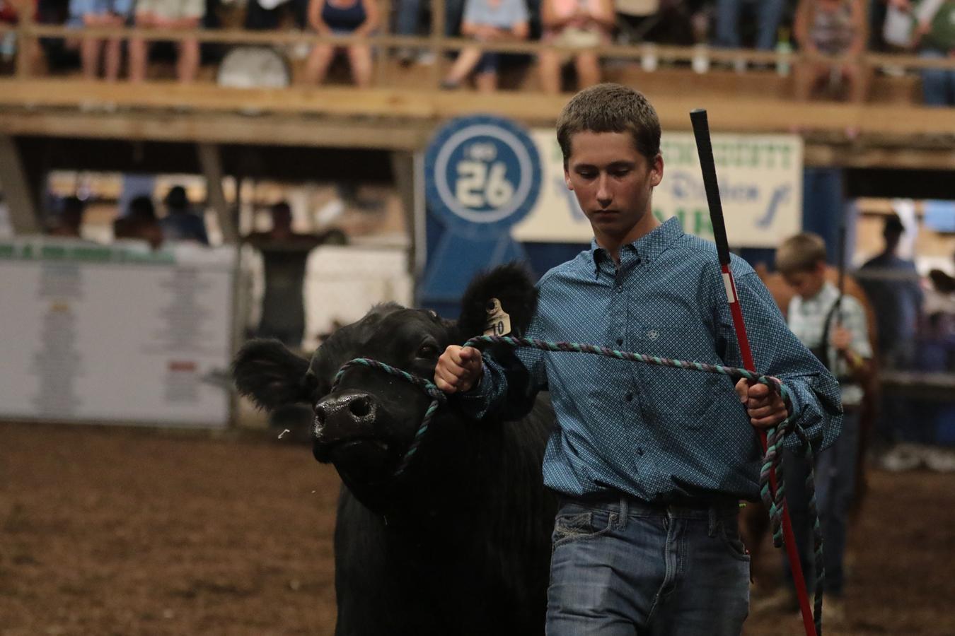 2026 180th Muskingum County Fair 417