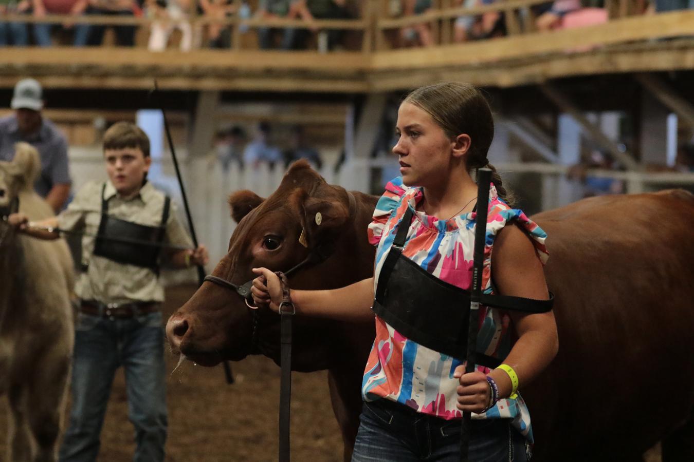 2026 180th Muskingum County Fair 419