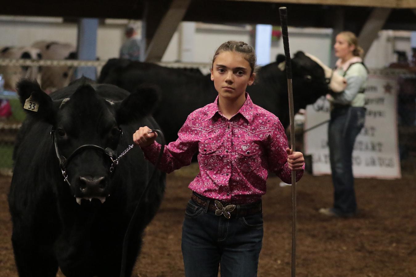 2026 180th Muskingum County Fair 440