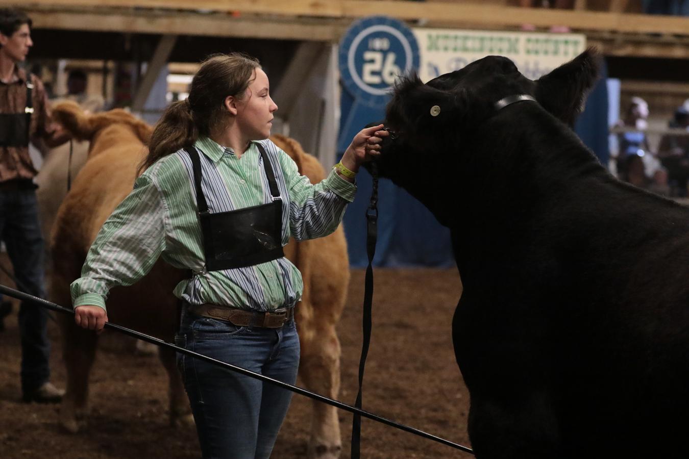 About The Muskingum County Fairgrounds
