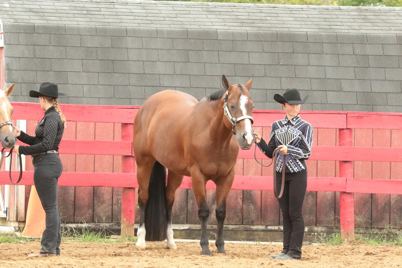 2026 180th Muskingum County Fair 506