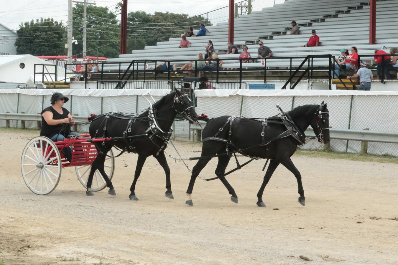 2026 180th Muskingum County Fair 547