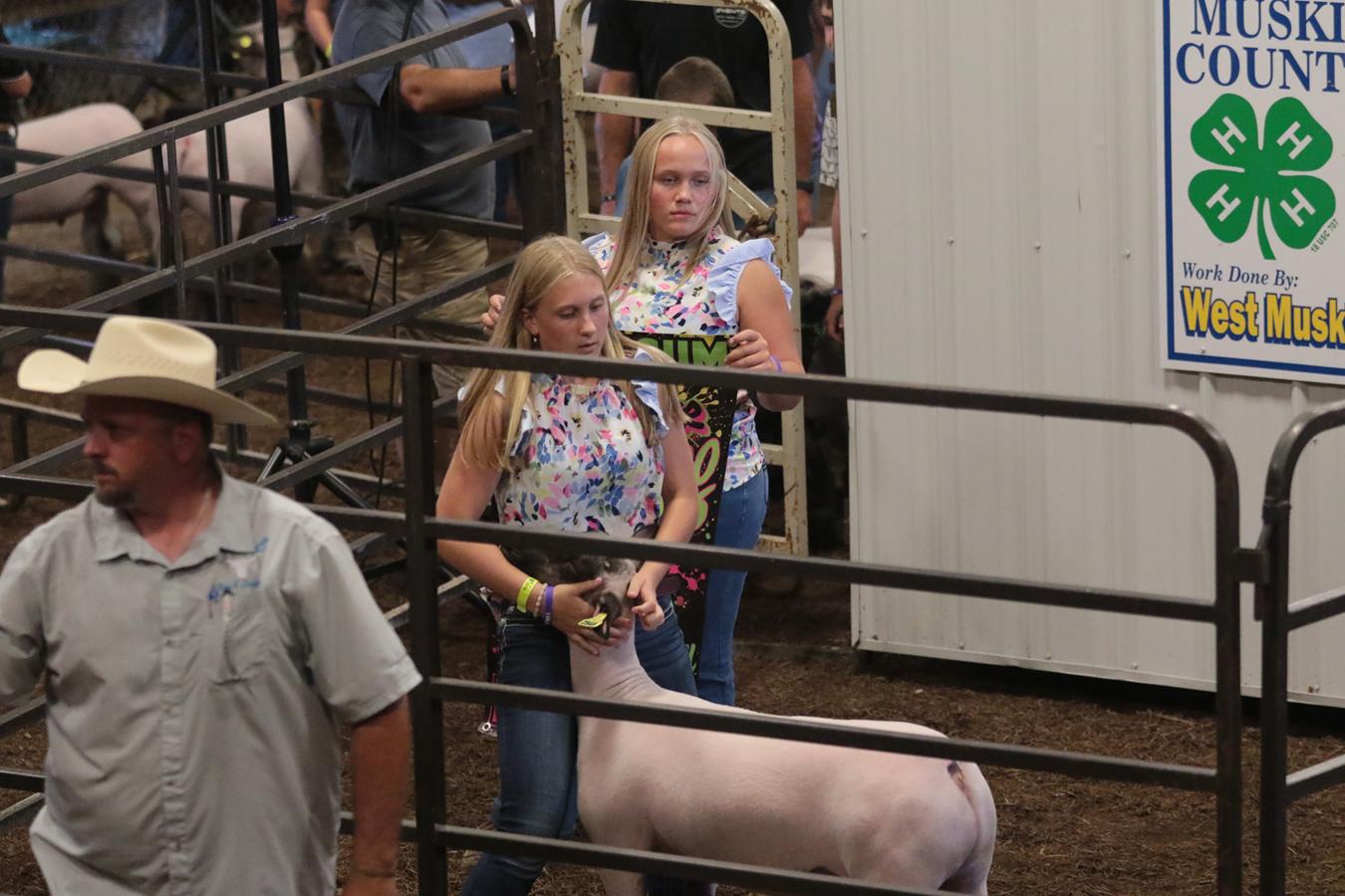 2026 180th Muskingum County Fair 721