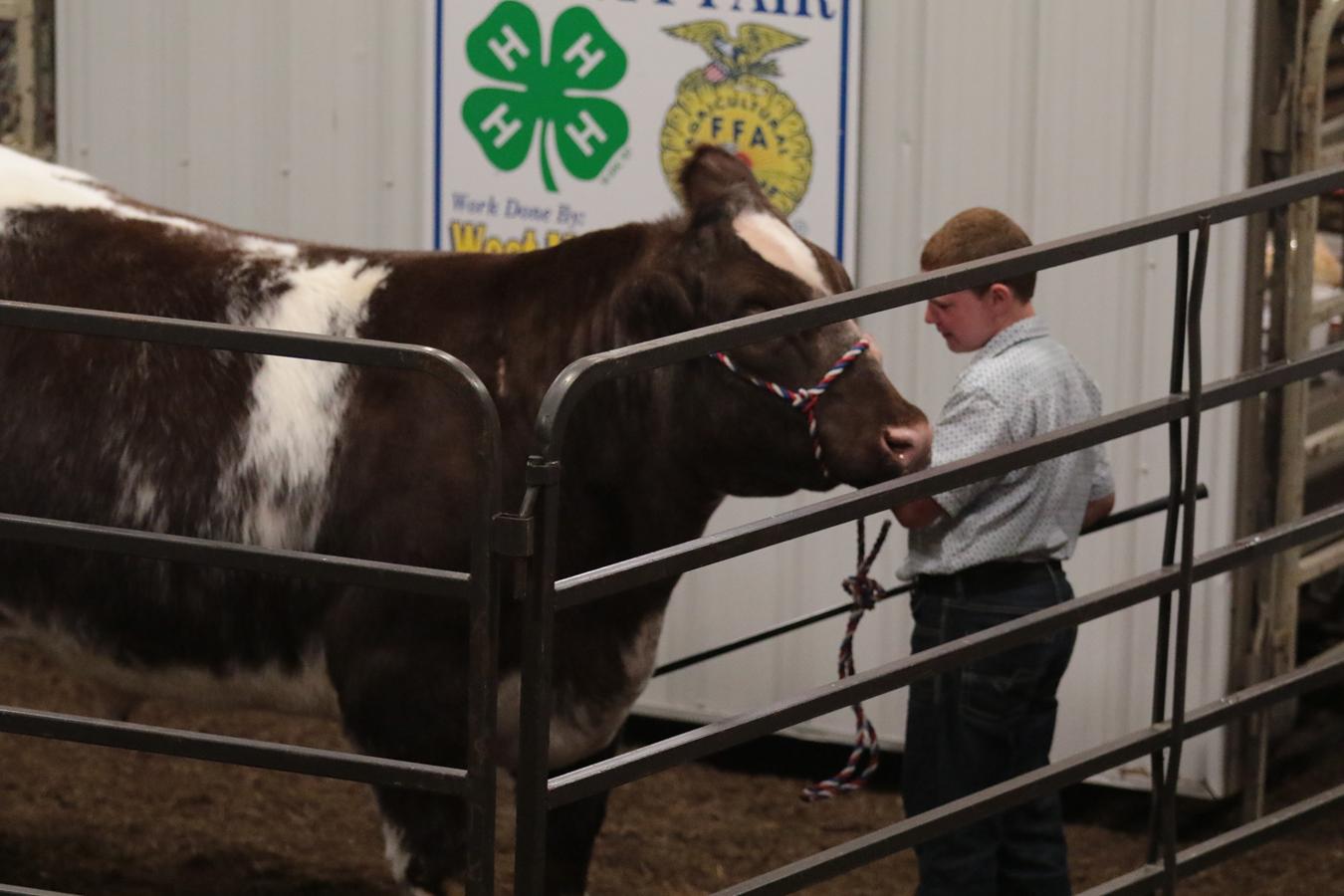 Volunteer At The Muskingum County Fairgrounds