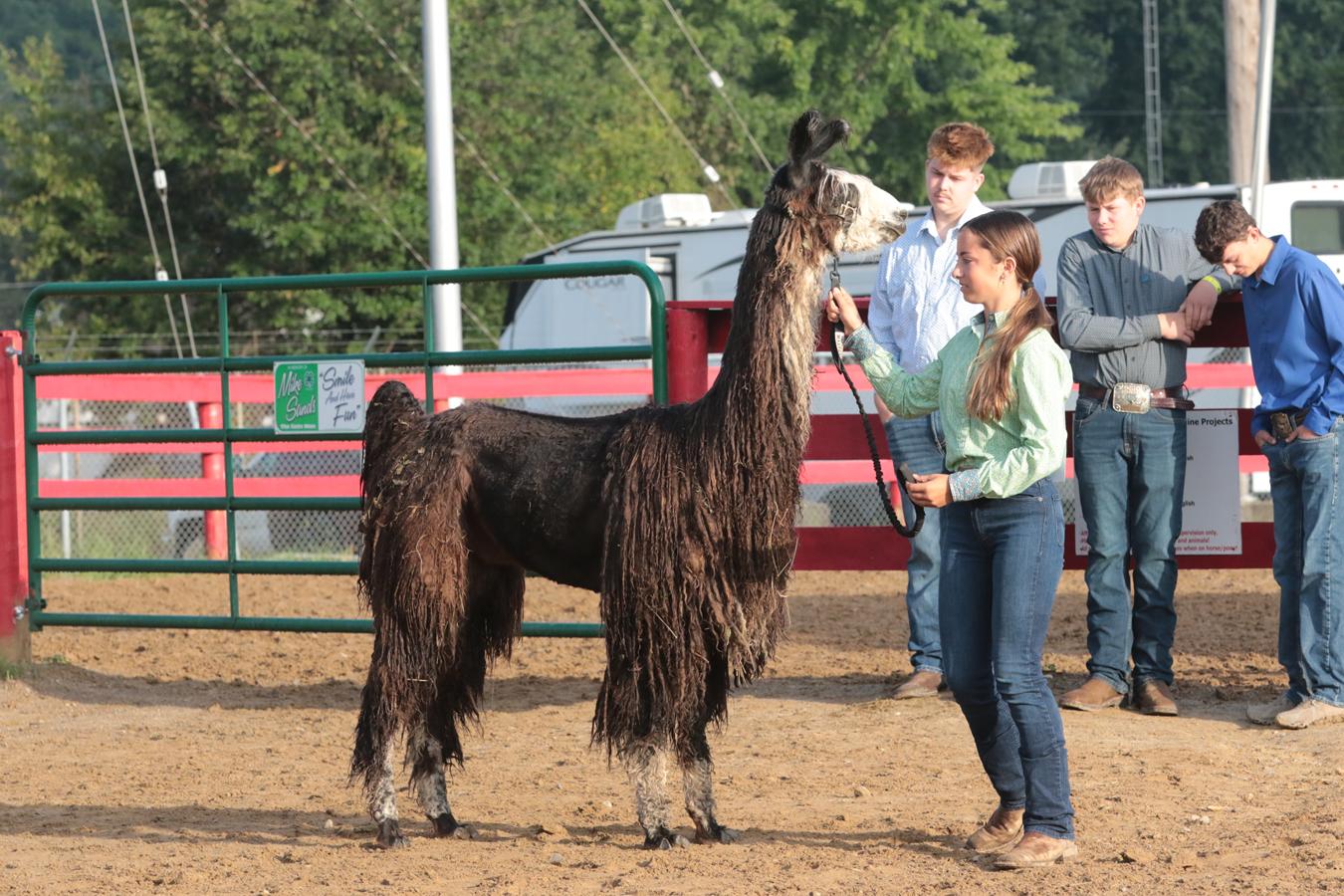 2026 180th Muskingum County Fair 755