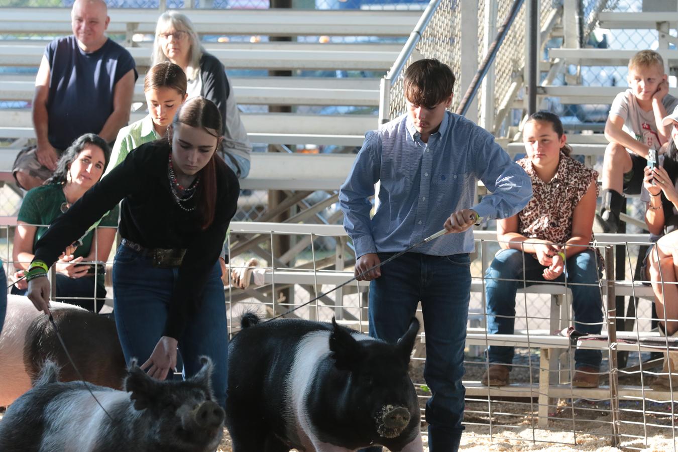 2026 180th Muskingum County Fair 779