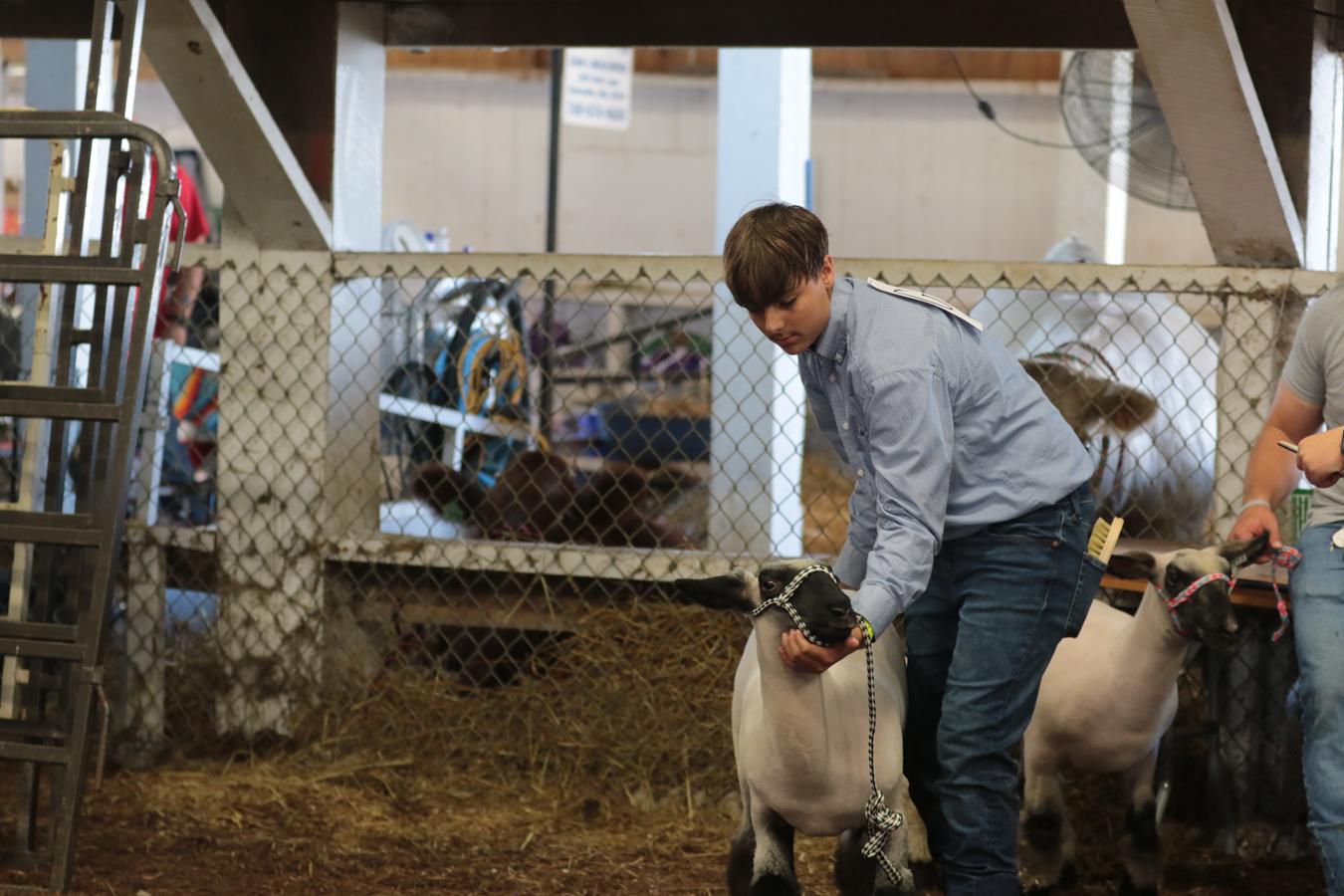 2026 180th Muskingum County Fair 815