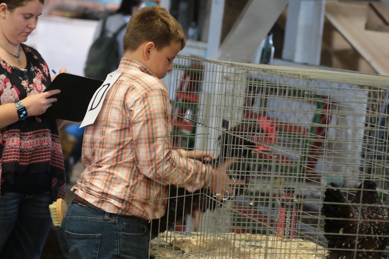 2026 180th Muskingum County Fair 818