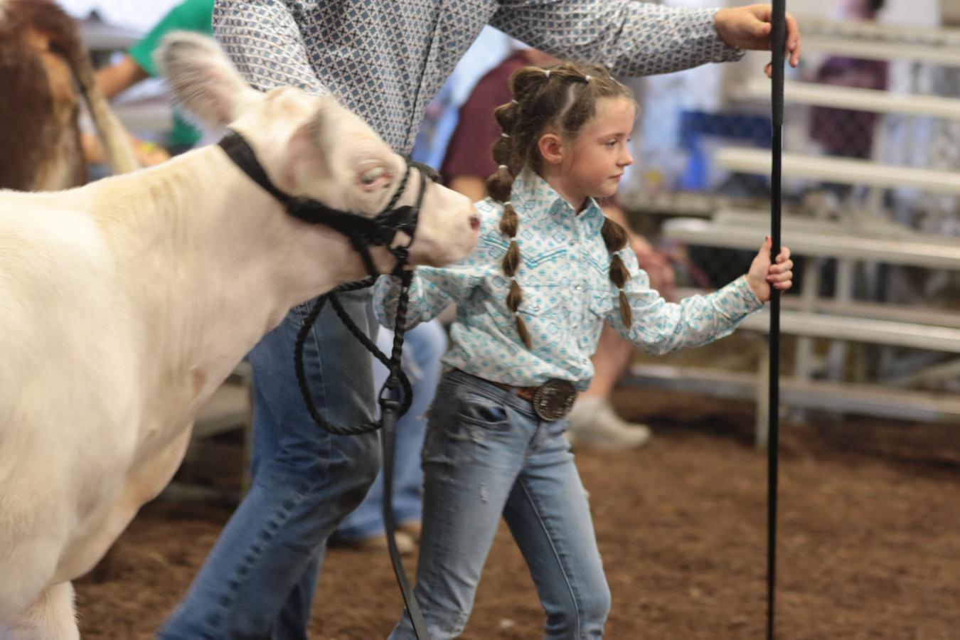 2026 180th Muskingum County Fair 901