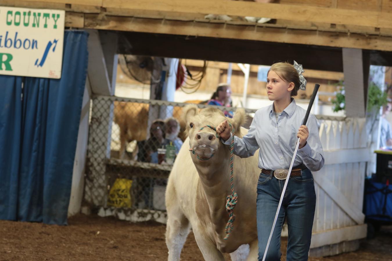 2026 180th Muskingum County Fair 913