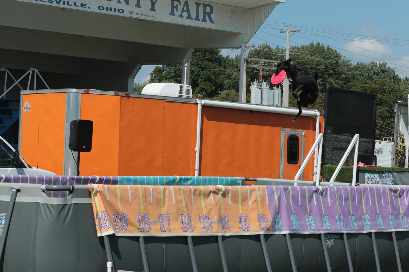 Become A Community Sponsor At The Muskingum County Fairgrounds