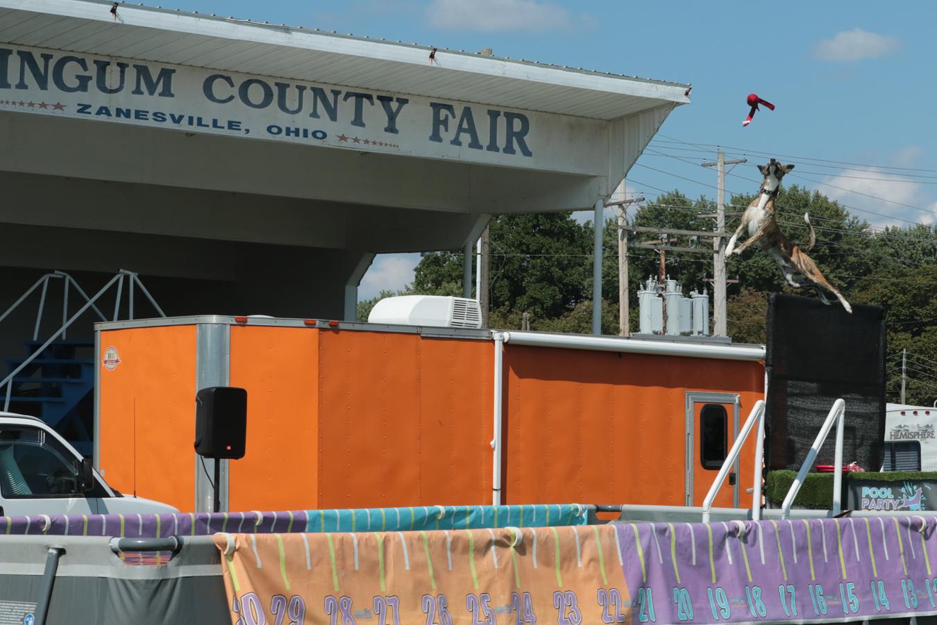 2026 180th Muskingum County Fair 994
